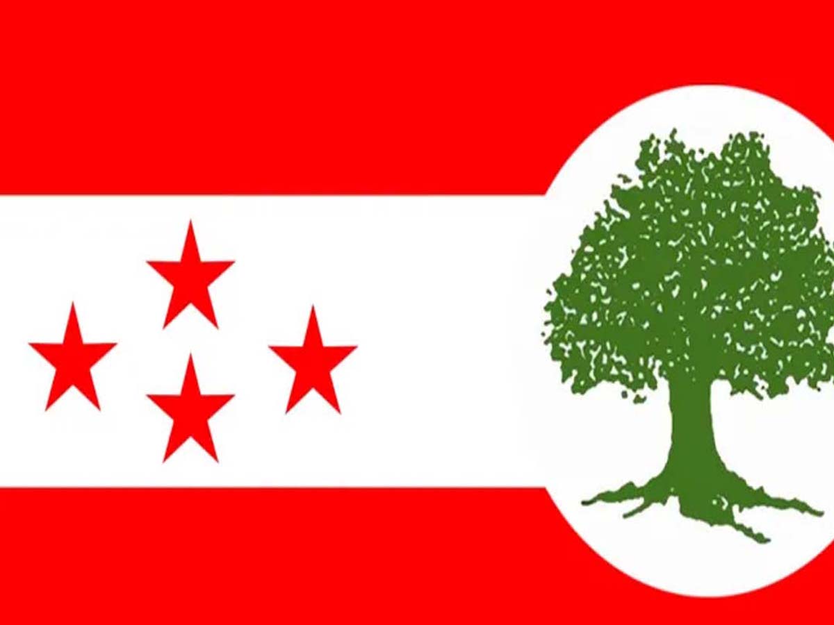 पुर्चौंडीको उपमेयर बाहेक कांग्रेसले टुंग्यायो बैतडीका चार नगरपालिकामा उम्मेदवार